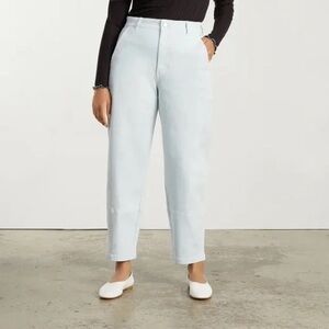 Everlane Light Blue Barrel Pants